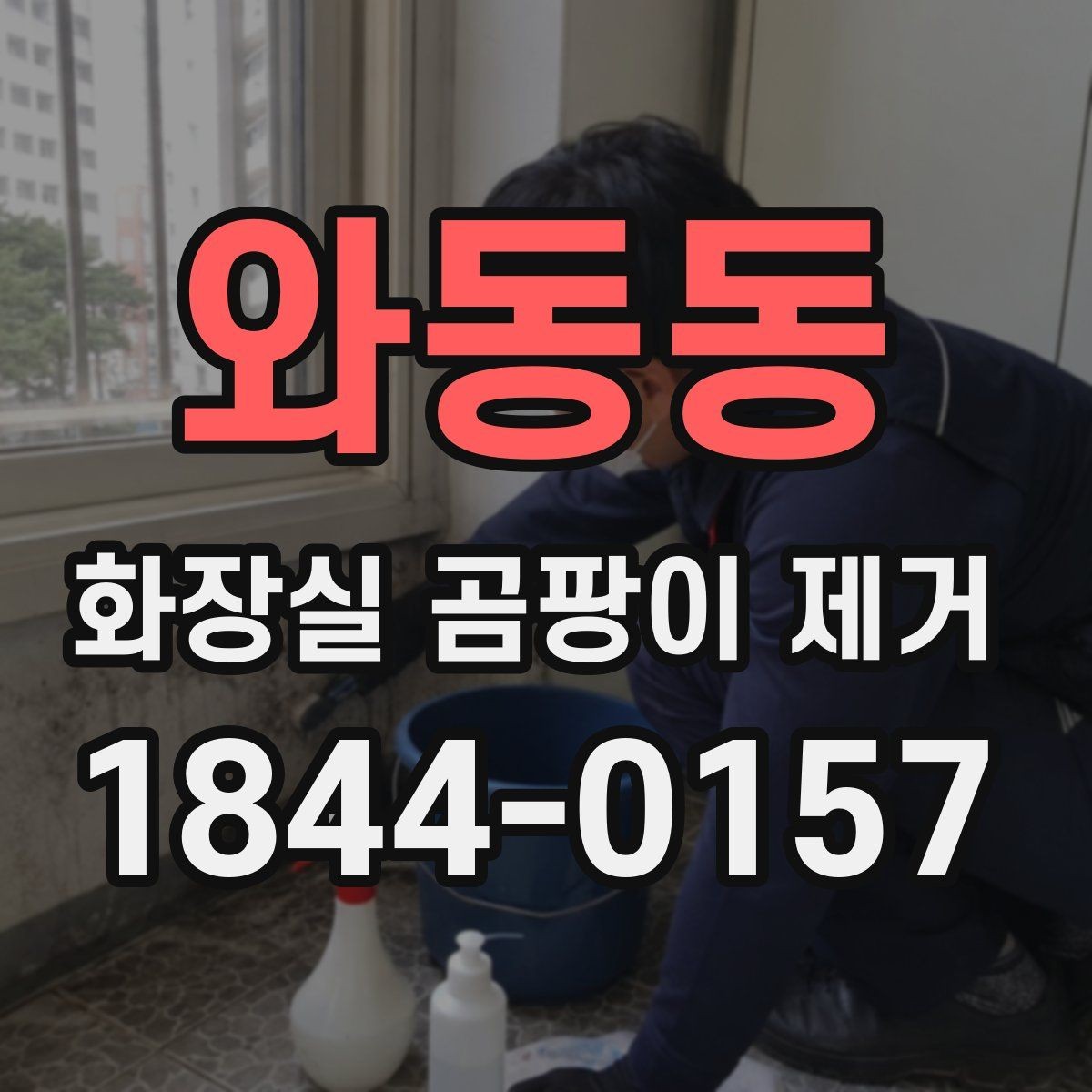 와동동 화장실 곰팡이 제거 색상 변색 없이 관리하는 타일·실리콘 점검