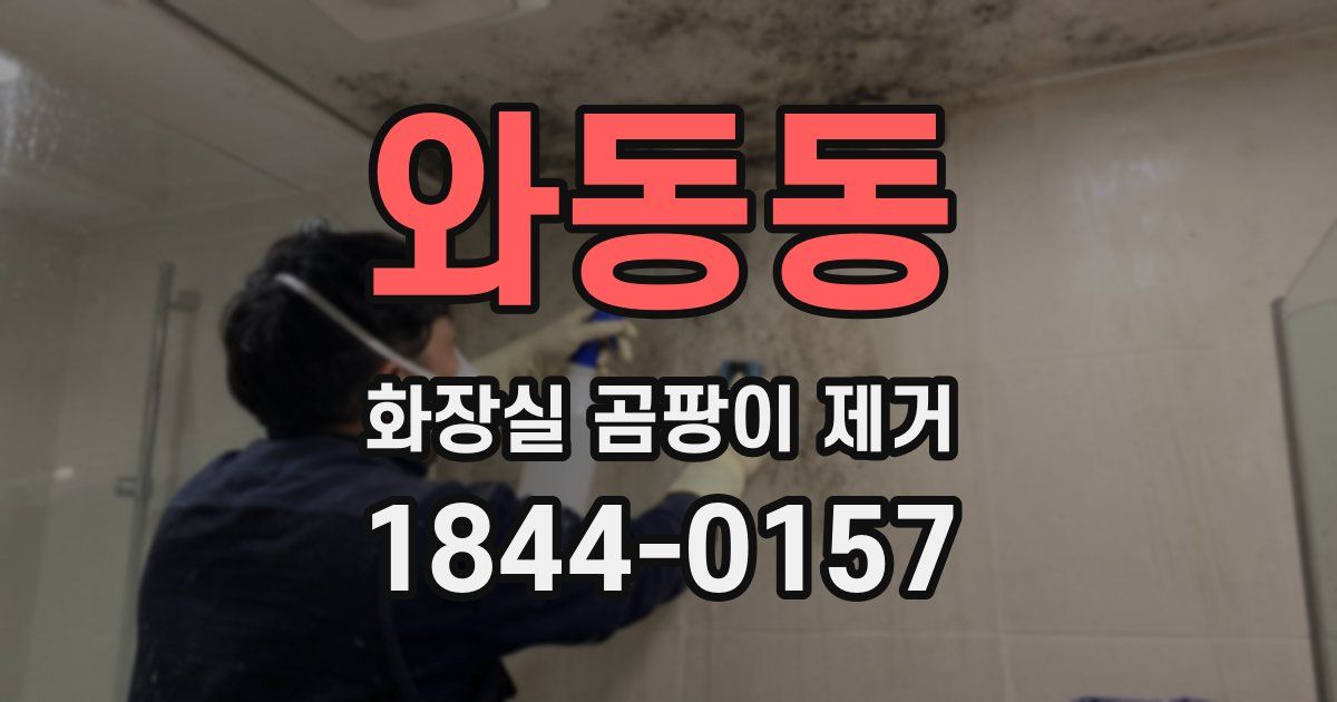 와동동 화장실 곰팡이 제거