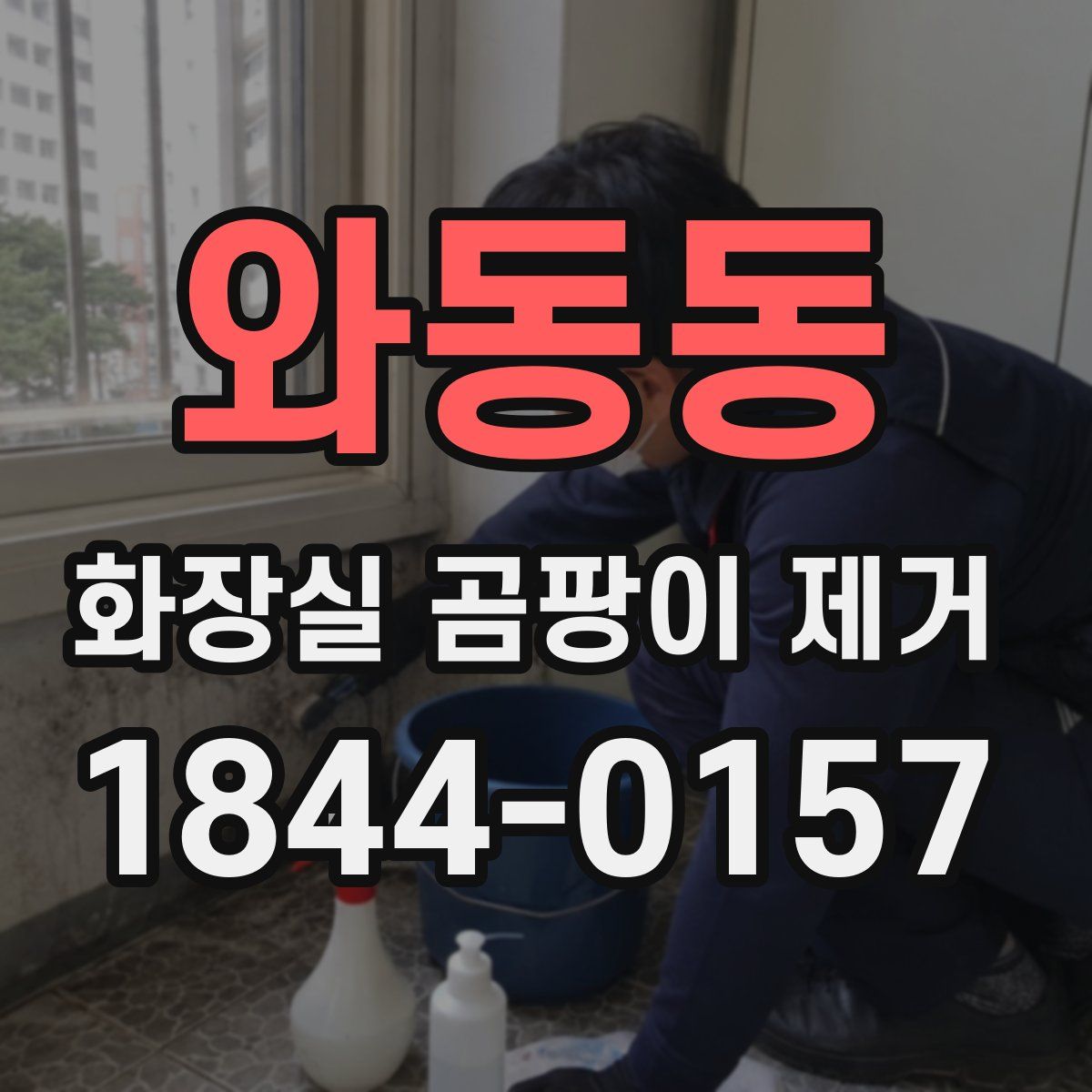 와동동 화장실 곰팡이 제거