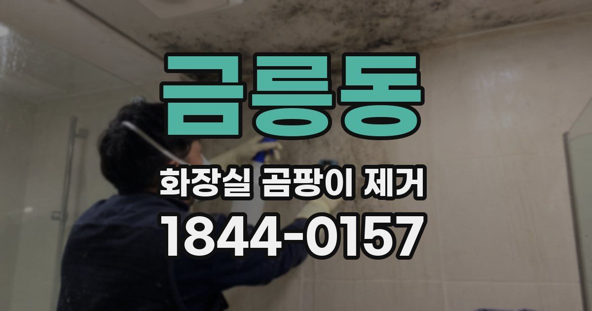 금릉동 화장실 곰팡이 제거