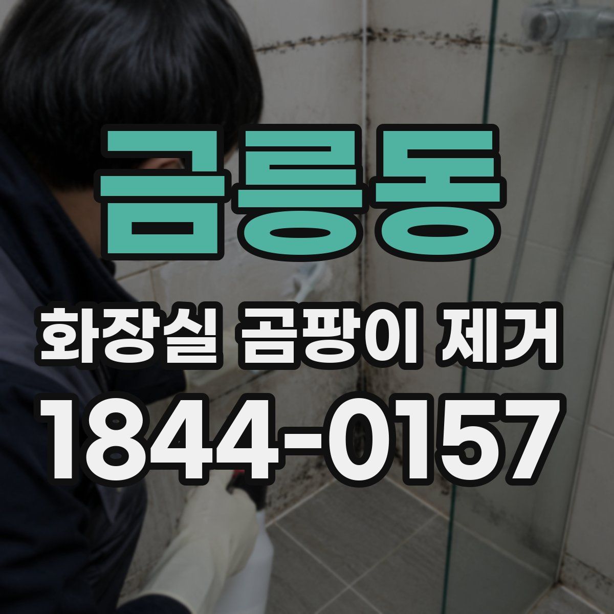 금릉동 화장실 곰팡이 제거