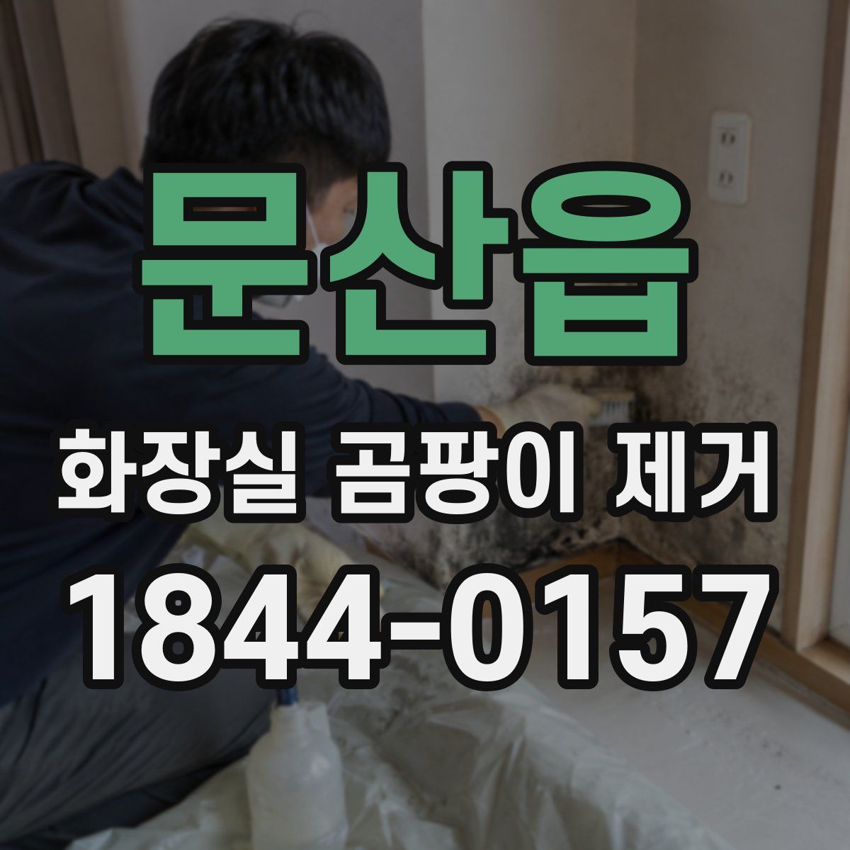 문산읍 화장실 곰팡이 제거