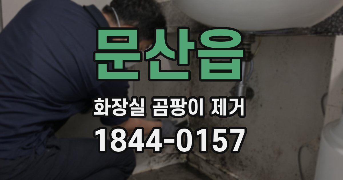 문산읍 화장실 곰팡이 제거