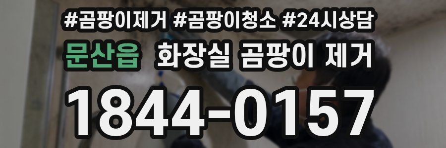 문산읍 화장실 곰팡이 제거