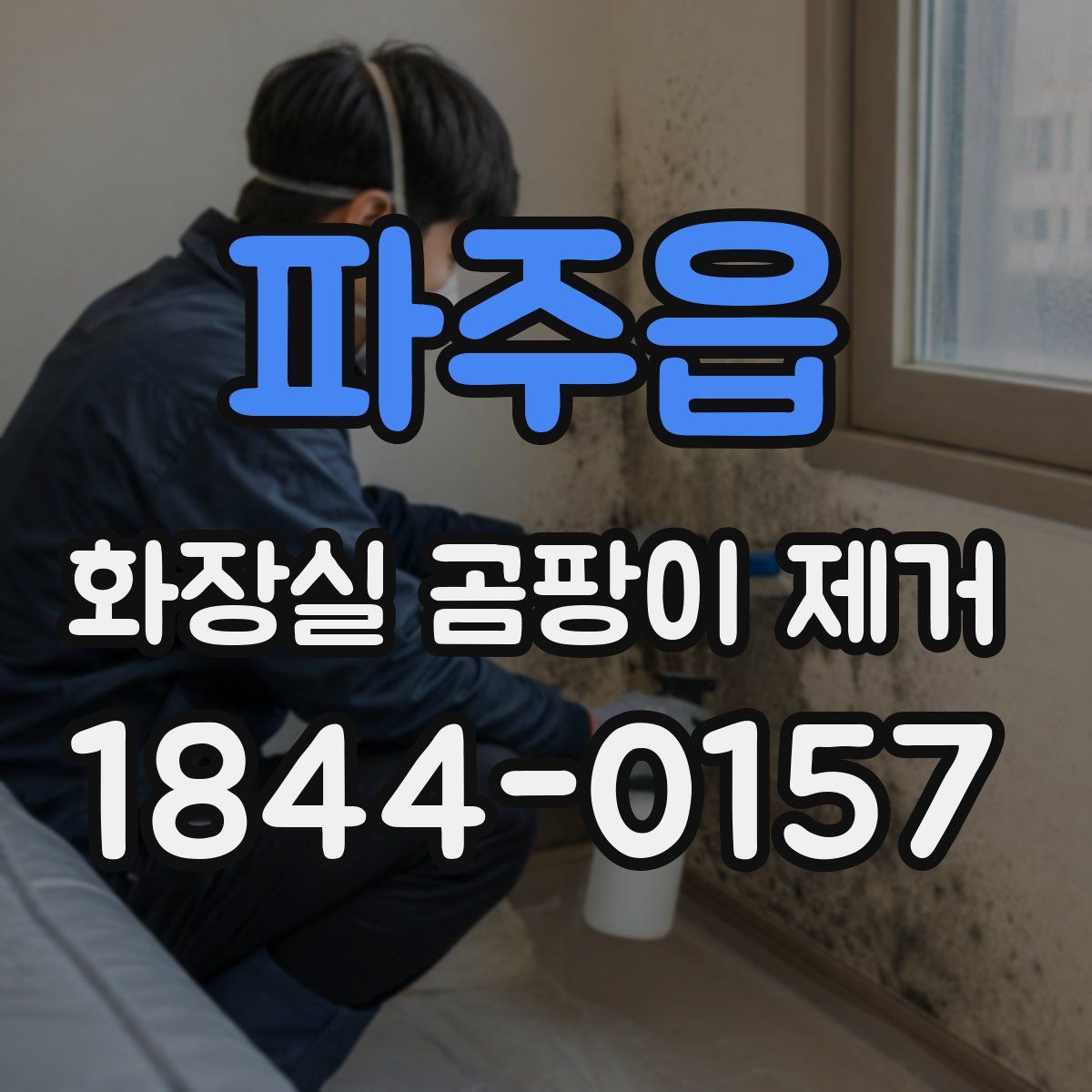 파주읍 화장실 곰팡이 제거