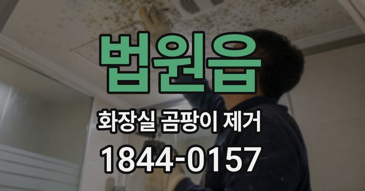법원읍 화장실 곰팡이 제거