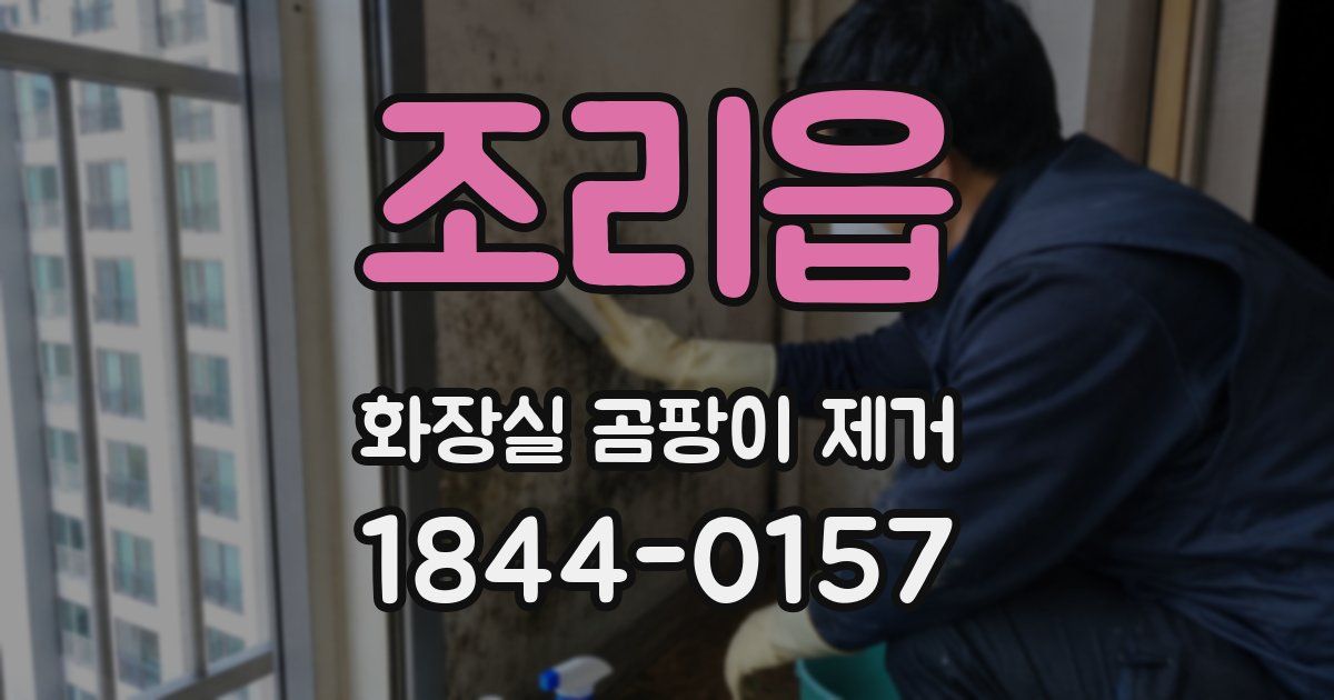 조리읍 화장실 곰팡이 제거