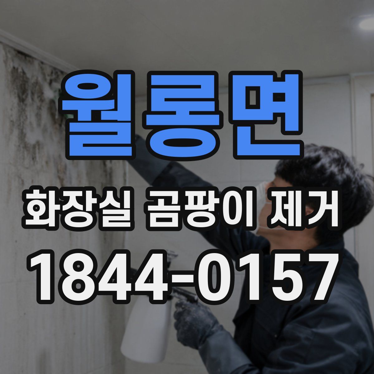 월롱면 화장실 곰팡이 제거