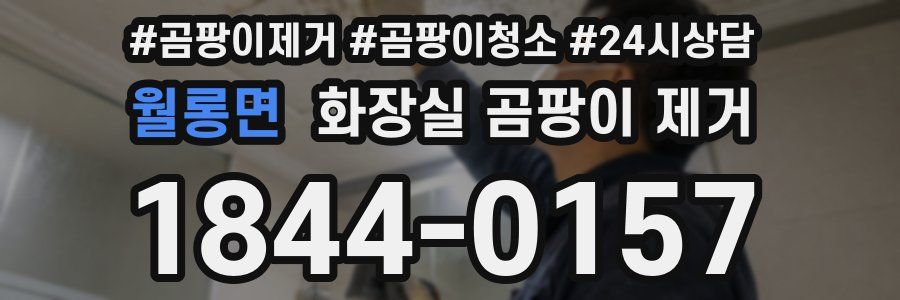 월롱면 화장실 곰팡이 제거