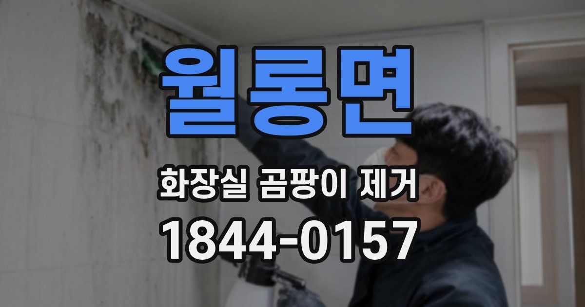 월롱면 화장실 곰팡이 제거