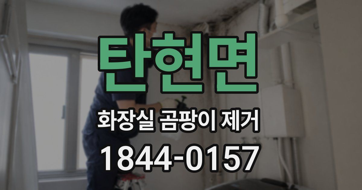 탄현면 화장실 곰팡이 제거