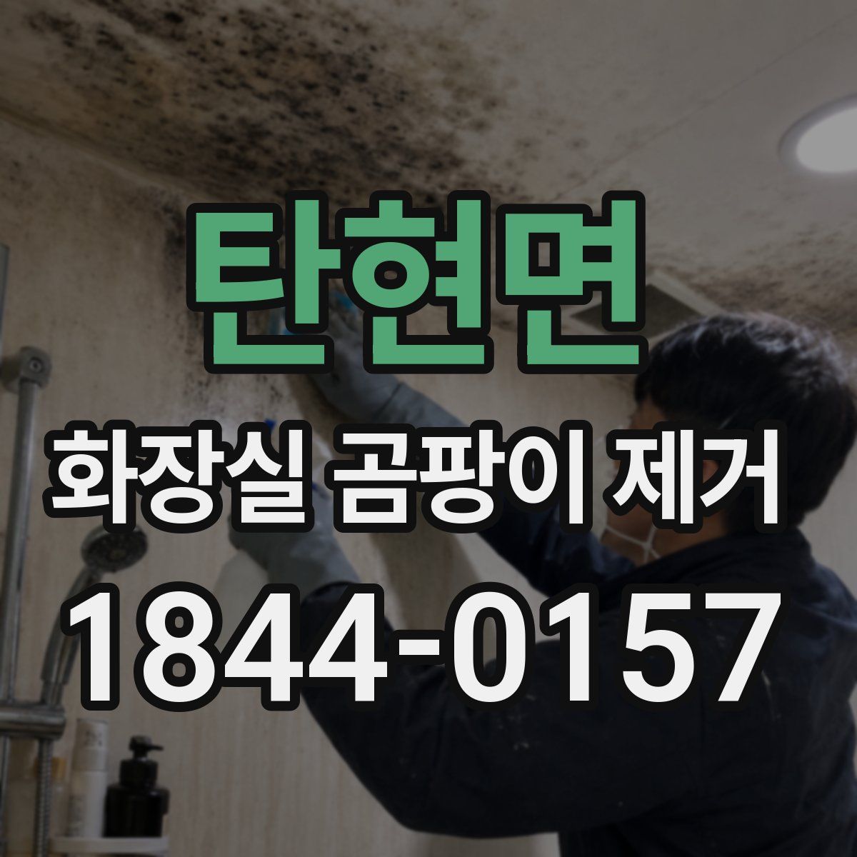 탄현면 화장실 곰팡이 제거