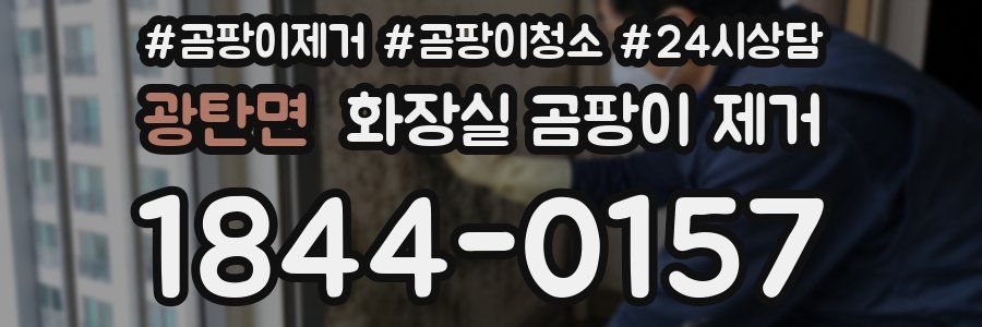 광탄면 화장실 곰팡이 제거