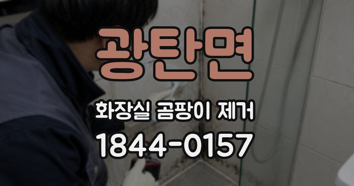 광탄면 화장실 곰팡이 제거