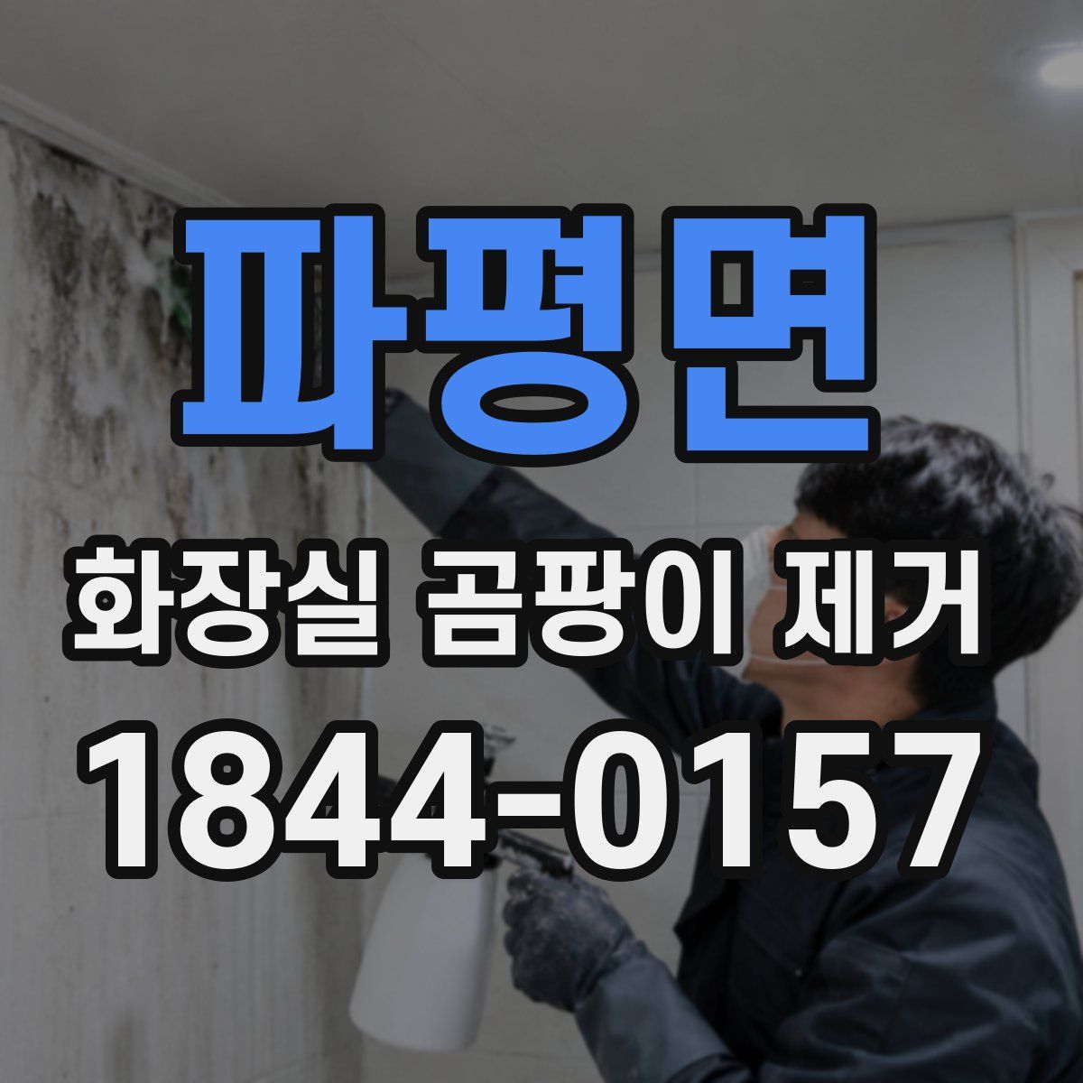 파평면 화장실 곰팡이 제거
