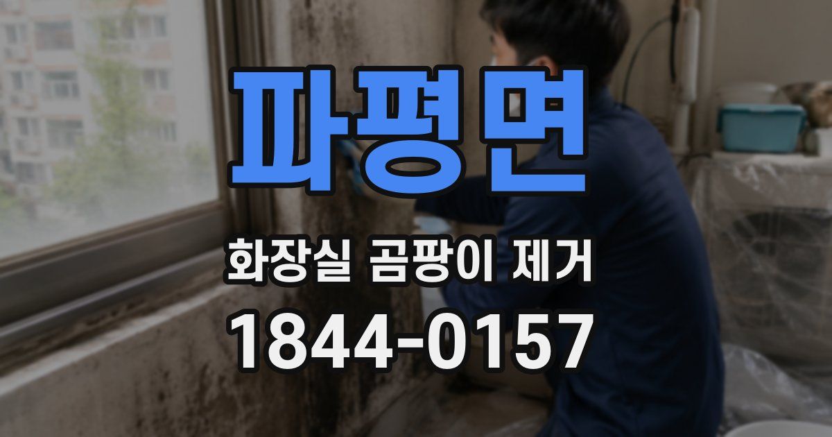 파평면 화장실 곰팡이 제거