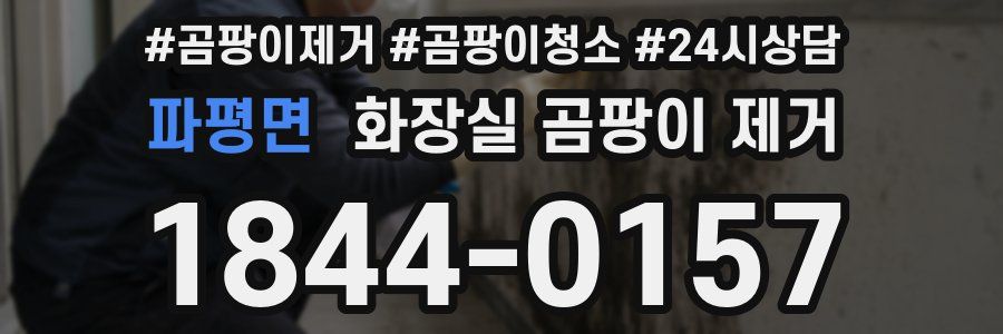 파평면 화장실 곰팡이 제거
