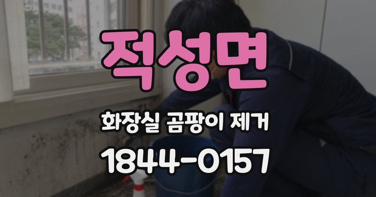 적성면 화장실 곰팡이 제거