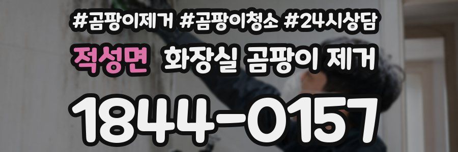 적성면 화장실 곰팡이 제거