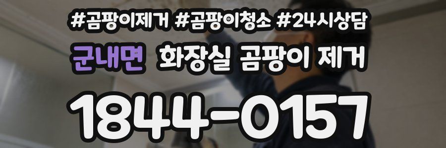 군내면 화장실 곰팡이 제거