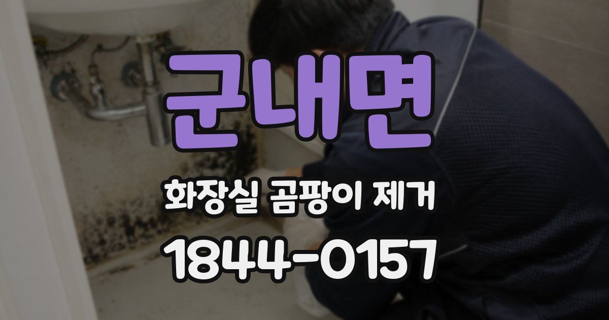 군내면 화장실 곰팡이 제거