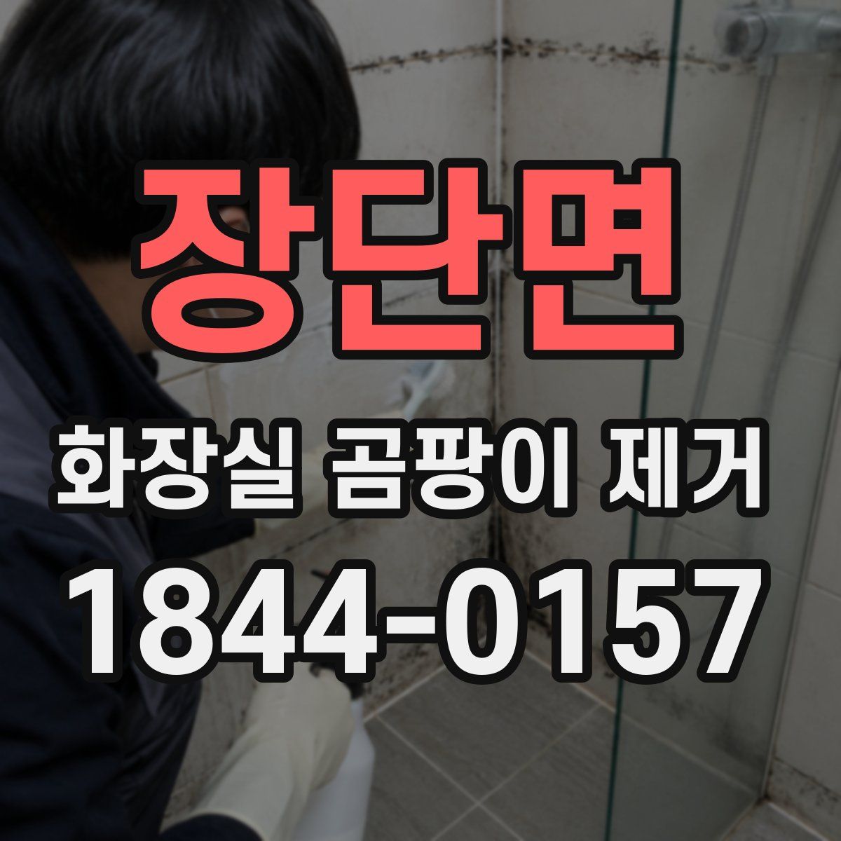 장단면 화장실 곰팡이 제거