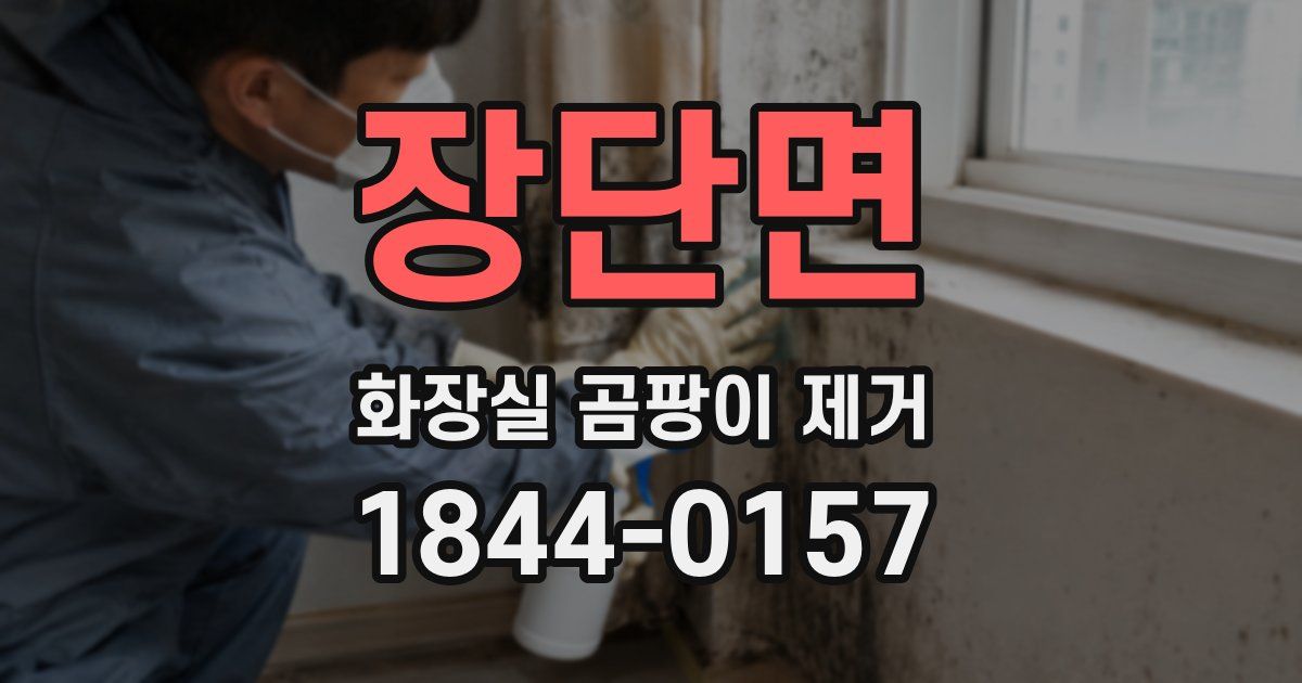 장단면 화장실 곰팡이 제거