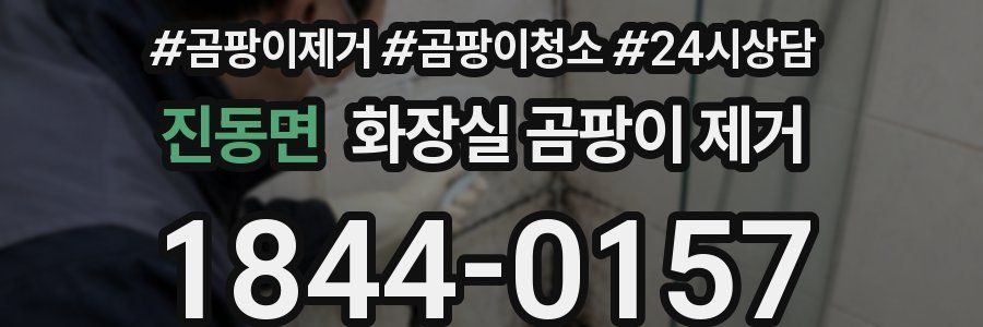 진동면 화장실 곰팡이 제거