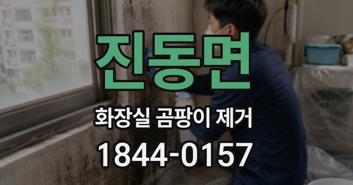진동면 화장실 곰팡이 제거