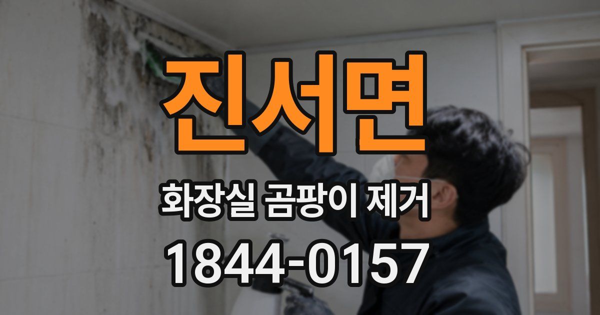 진서면 화장실 곰팡이 제거