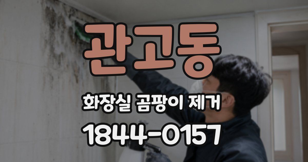 관고동 화장실 곰팡이 제거