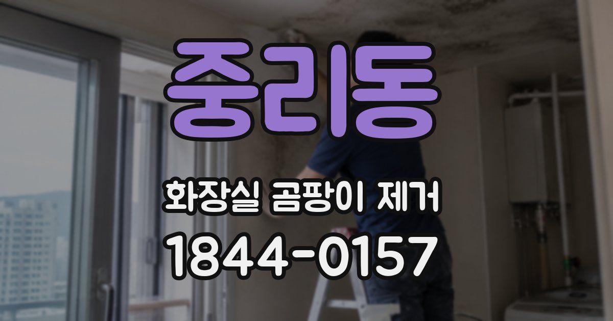중리동 화장실 곰팡이 제거