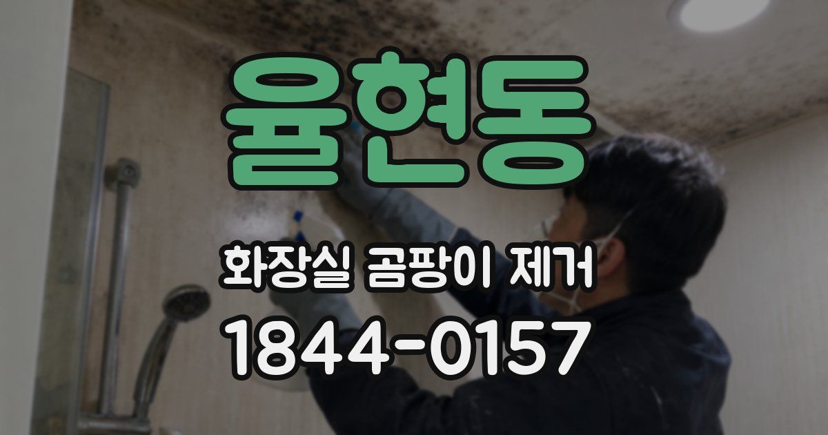 율현동 화장실 곰팡이 제거