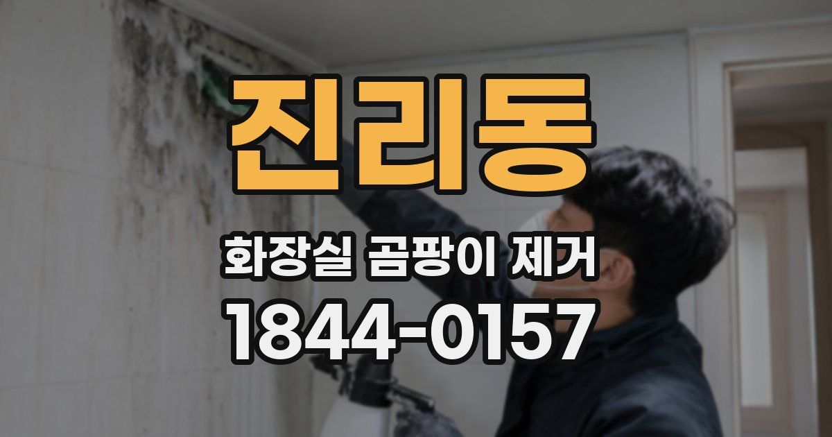 진리동 화장실 곰팡이 제거