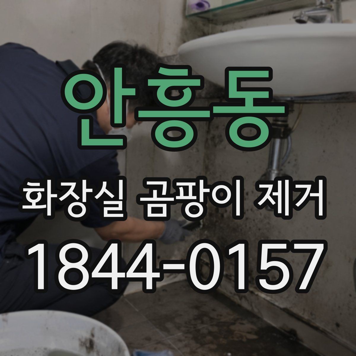 안흥동 화장실 곰팡이 제거 곰팡이 번식 원인부터 정리하는 과정