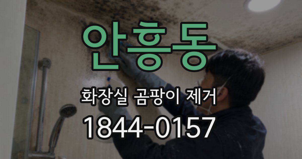 안흥동 화장실 곰팡이 제거