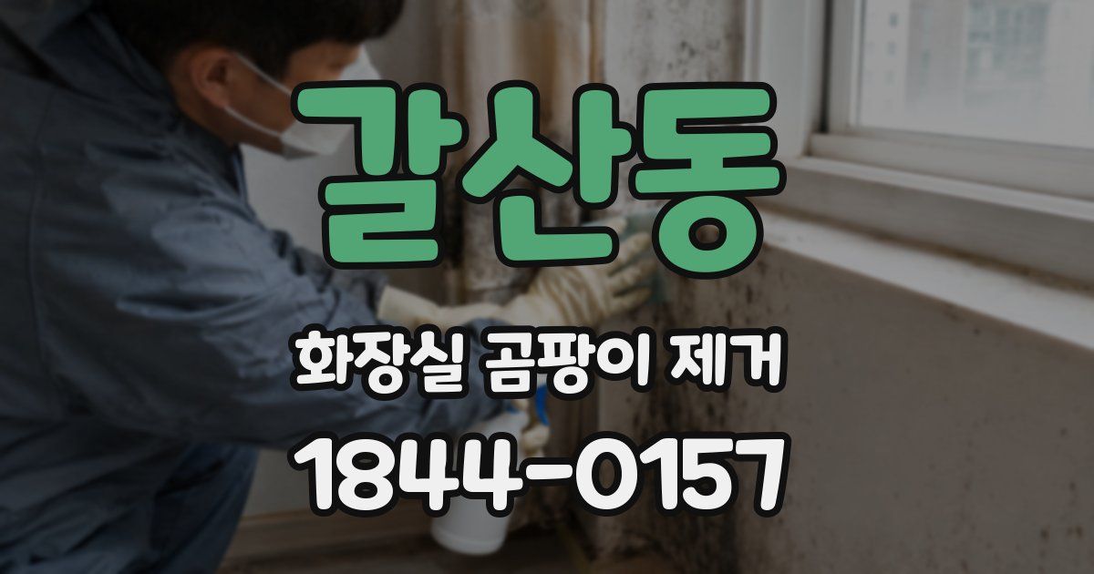 갈산동 화장실 곰팡이 제거
