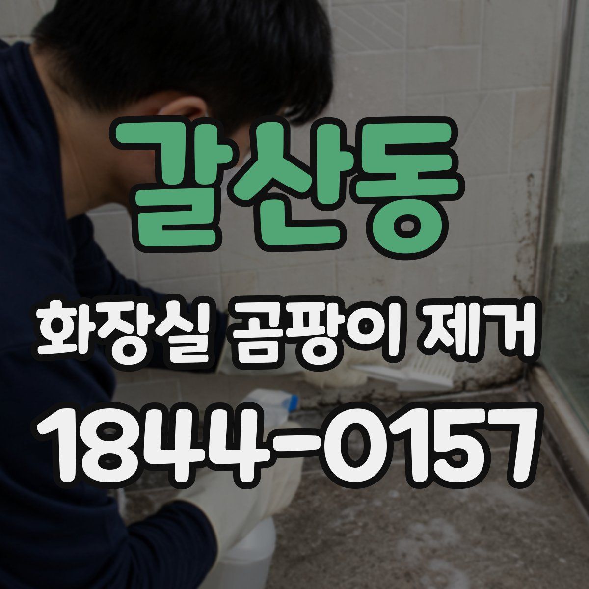 갈산동 화장실 곰팡이 제거