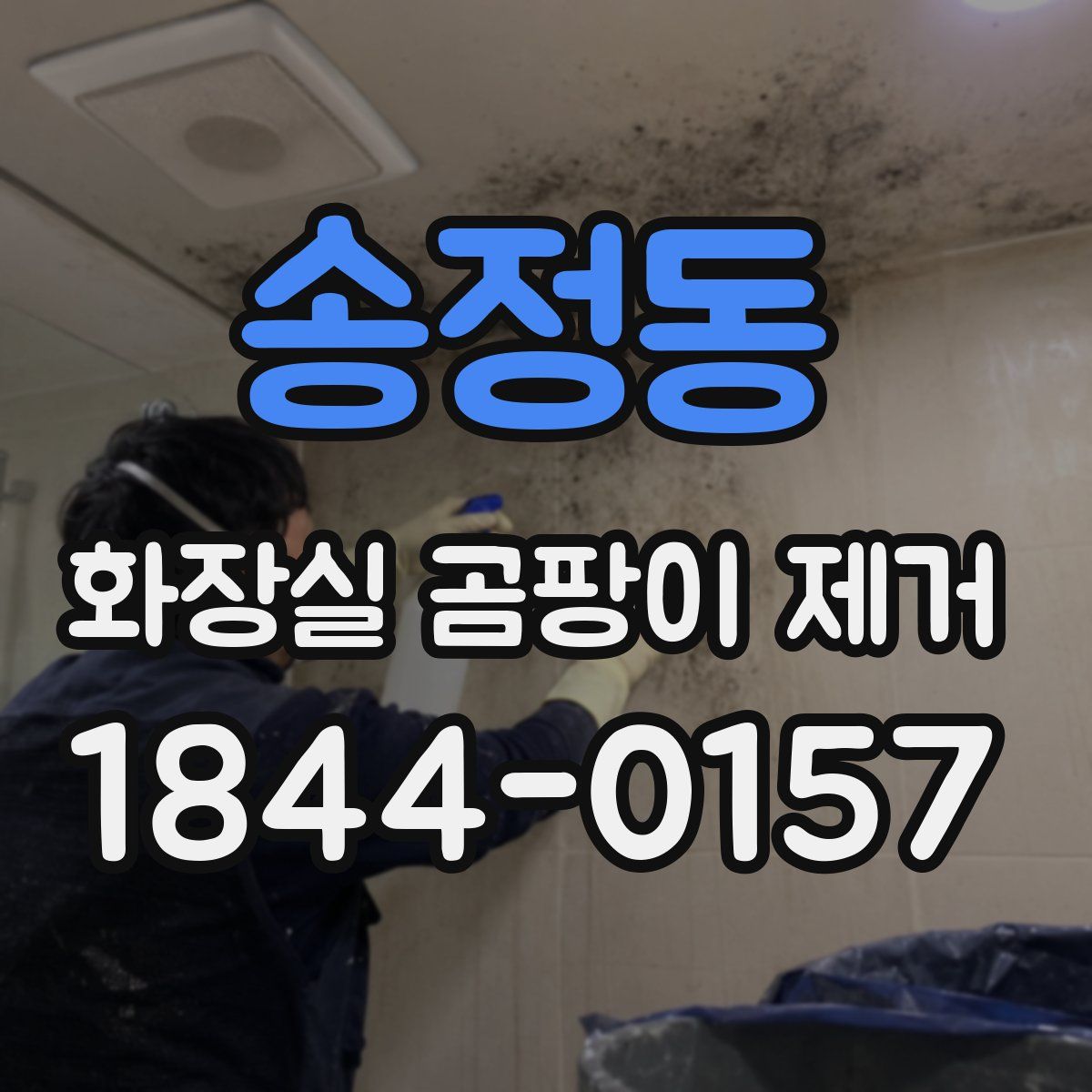 송정동 화장실 곰팡이 제거