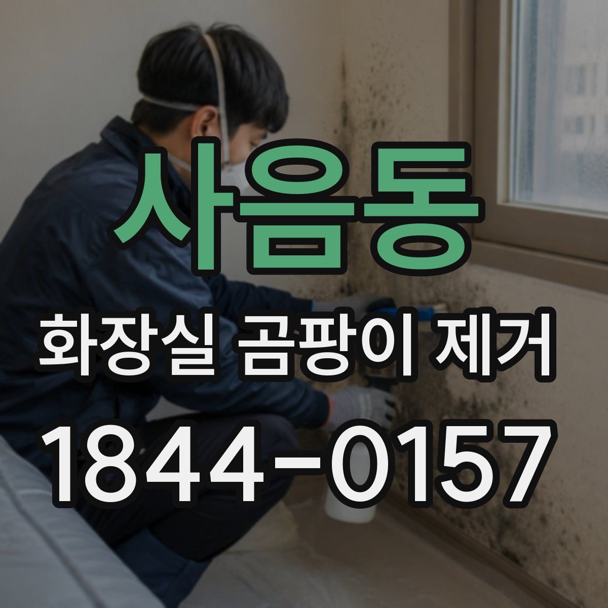 사음동 화장실 곰팡이 제거