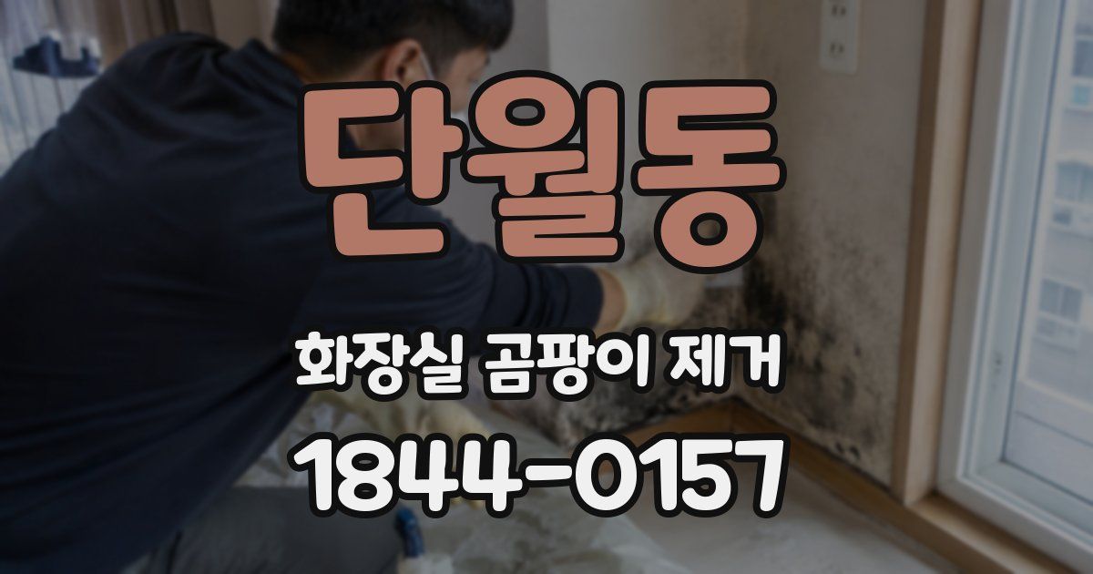 단월동 화장실 곰팡이 제거