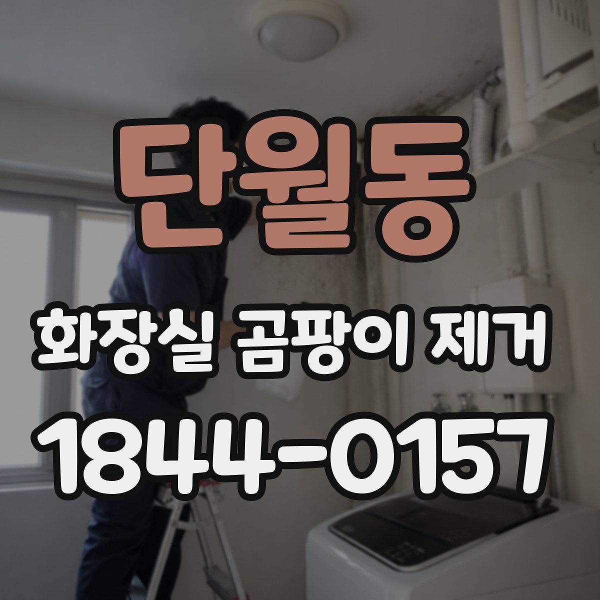 단월동 화장실 곰팡이 제거