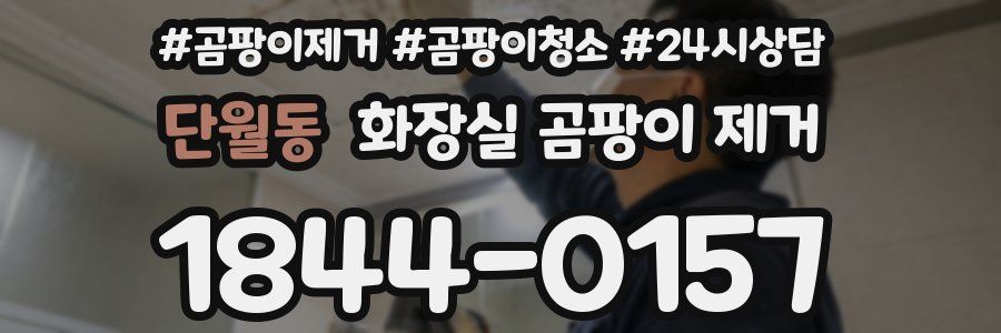 단월동 화장실 곰팡이 제거