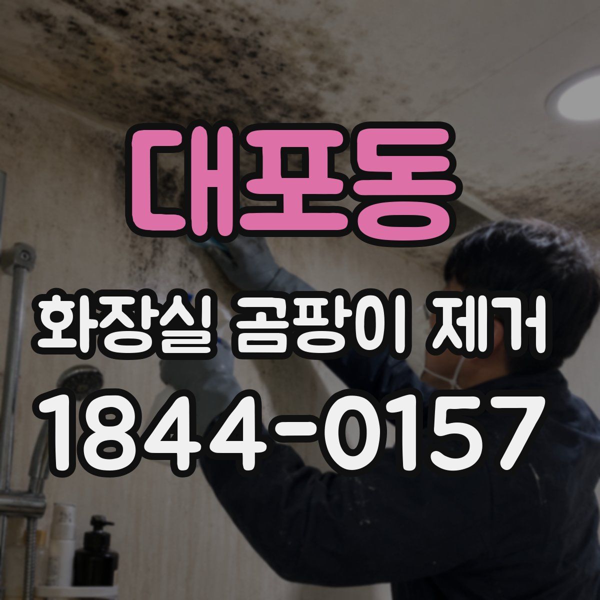 대포동 화장실 곰팡이 제거