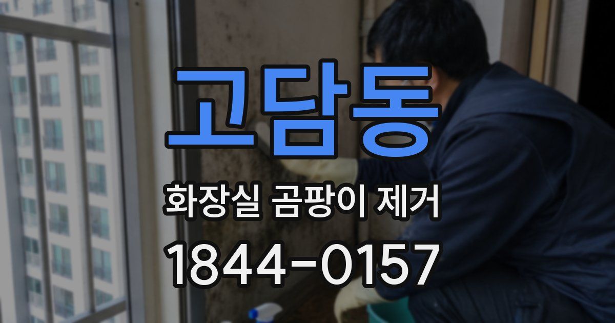 고담동 화장실 곰팡이 제거