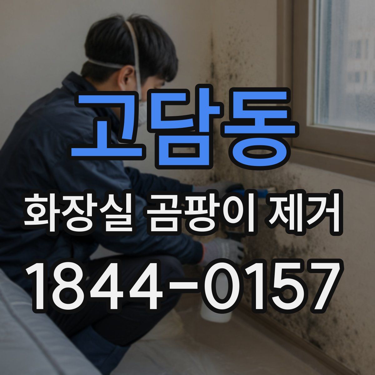 고담동 화장실 곰팡이 제거