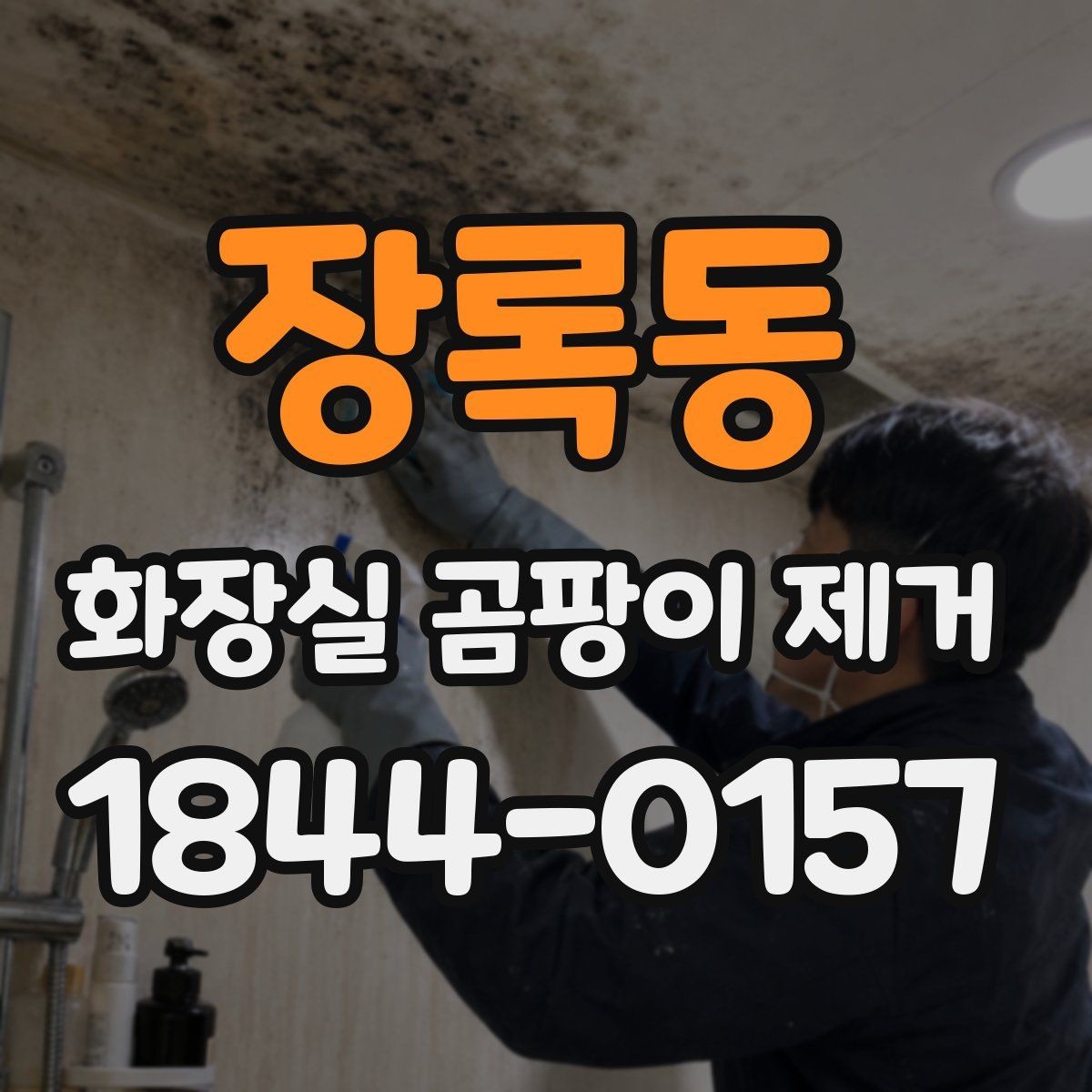 장록동 화장실 곰팡이 제거 벽 타일과 바닥재별 닦는 요령