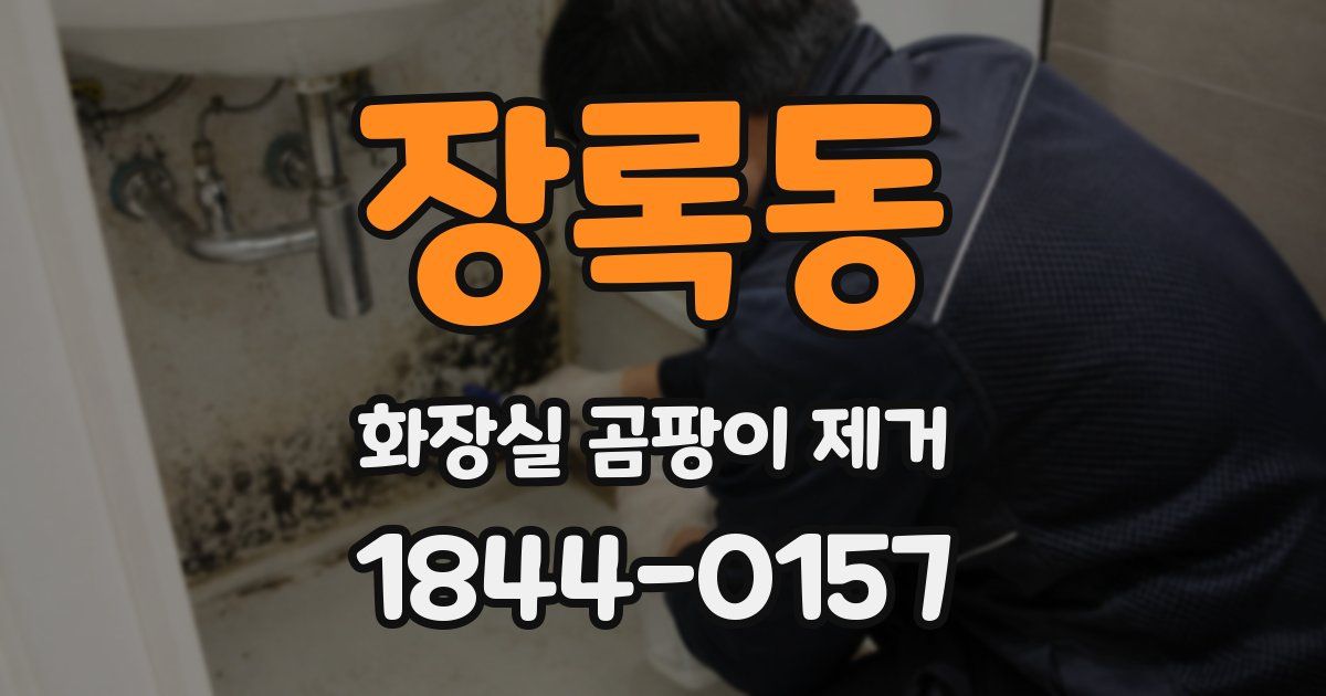 장록동 화장실 곰팡이 제거