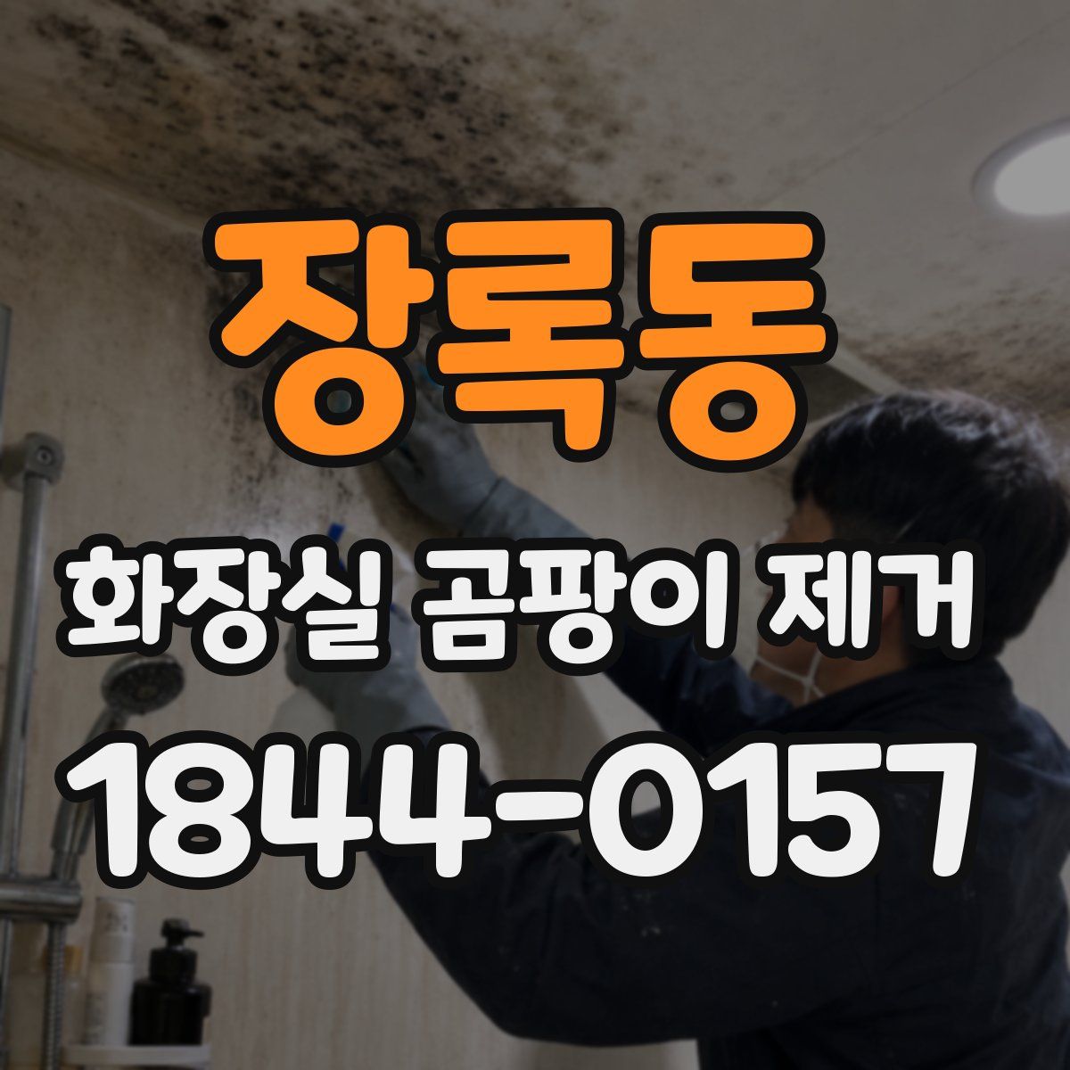 장록동 화장실 곰팡이 제거