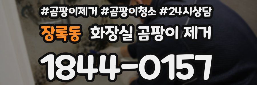 장록동 화장실 곰팡이 제거